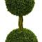 4ft. Potted Boxwood Double Ball Topiary Tree with Woven Trunk